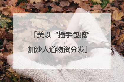 美以“插手包揽”加沙人道物资分发
