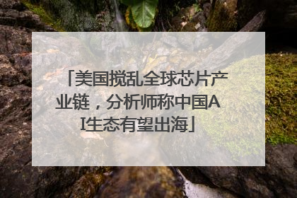 美国搅乱全球芯片产业链，分析师称中国AI生态有望出海