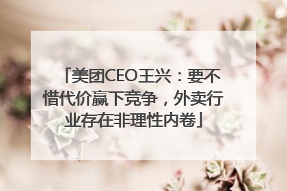 美团CEO王兴：要不惜代价赢下竞争，外卖行业存在非理性内卷