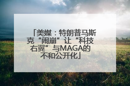 美媒：特朗普马斯克“闹崩”让“科技右翼”与MAGA的不和公开化