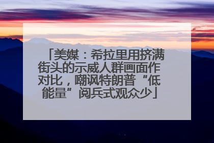 美媒：希拉里用挤满街头的示威人群画面作对比，嘲讽特朗普“低能量”阅兵式观众少
