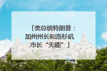 美总统特朗普：加州州长和洛杉矶市长“无能”