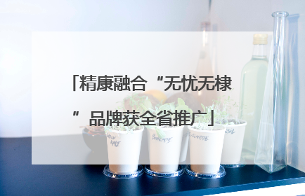 精康融合“无忧无棣”品牌获全省推广