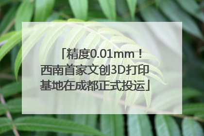精度0.01mm！西南首家文创3D打印基地在成都正式投运