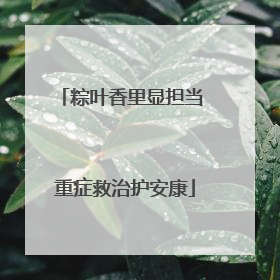 粽叶香里显担当 重症救治护安康