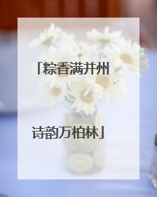 粽香满并州 诗韵万柏林