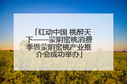 红动中国 桃醉天下——蒙阴蜜桃消费季暨蒙阴蜜桃产业推介会成功举办