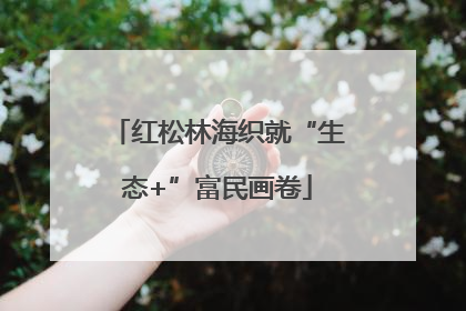 红松林海织就“生态+”富民画卷