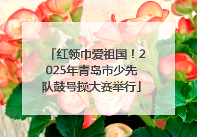 红领巾爱祖国！2025年青岛市少先队鼓号操大赛举行