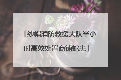纱帽消防救援大队半小时高效处置商铺蛇患