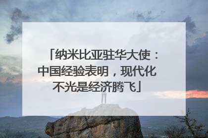 纳米比亚驻华大使：中国经验表明，现代化不光是经济腾飞