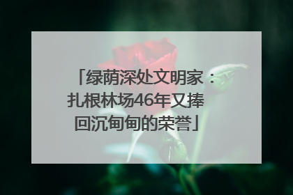 绿荫深处文明家：扎根林场46年又捧回沉甸甸的荣誉