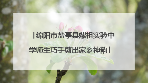 绵阳市盐亭县嫘祖实验中学师生巧手剪出家乡神韵