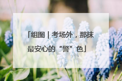 组图｜考场外，那抹最安心的“警”色