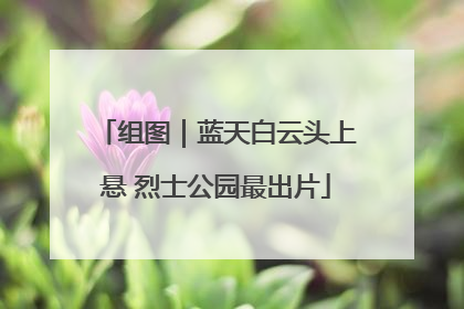 组图｜蓝天白云头上悬 烈士公园最出片