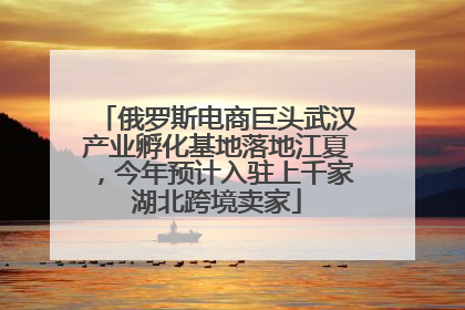 俄罗斯电商巨头武汉产业孵化基地落地江夏，今年预计入驻上千家湖北跨境卖家