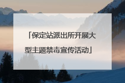 保定站派出所开展大型主题禁毒宣传活动