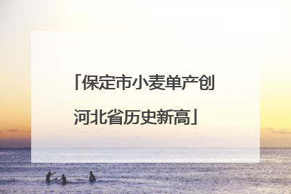 保定市小麦单产创河北省历史新高