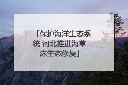 保护海洋生态系统 河北推进海草床生态修复