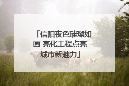 信阳夜色璀璨如画 亮化工程点亮城市新魅力