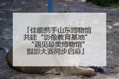 佳能携手山东博物馆共建“影像教育基地” “遇见最美博物馆”摄影大赛同步启幕