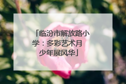 临汾市解放路小学：多彩艺术月 少年展风华