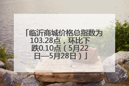 临沂商城价格总指数为103.28点，环比下跌0.10点（5月22日—5月28日）
