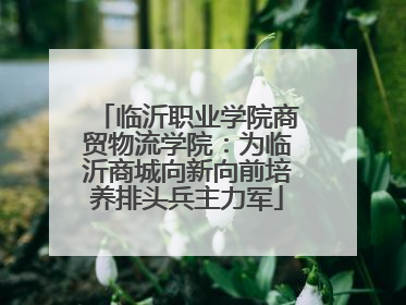 临沂职业学院商贸物流学院：为临沂商城向新向前培养排头兵主力军