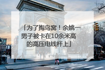 为了掏鸟窝！余姚一男子被卡在10余米高的高压电线杆上