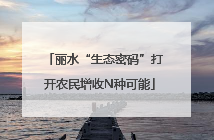 丽水“生态密码”打开农民增收N种可能