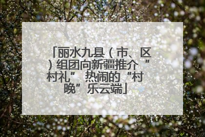 丽水九县（市、区）组团向新疆推介“村礼” 热闹的“村晚”乐云端