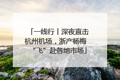 一线行丨深夜直击杭州机场，浙产杨梅“飞”赴各地市场