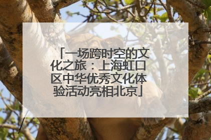 一场跨时空的文化之旅：上海虹口区中华优秀文化体验活动亮相北京