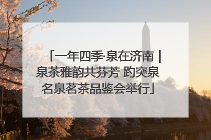 一年四季·泉在济南｜泉茶雅韵共芬芳 趵突泉名泉茗茶品鉴会举行