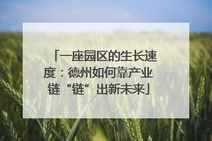 一座园区的生长速度：德州如何靠产业链“链”出新未来