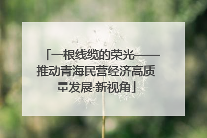 一根线缆的荣光——推动青海民营经济高质量发展·新视角
