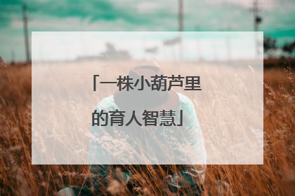 一株小葫芦里的育人智慧