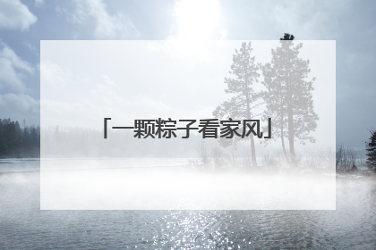 一颗粽子看家风