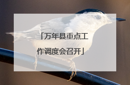 万年县重点工作调度会召开