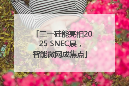 三一硅能亮相2025 SNEC展，智能微网成焦点