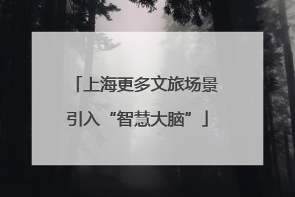 上海更多文旅场景引入“智慧大脑”