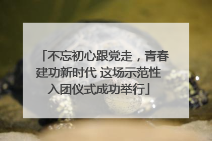 不忘初心跟党走，青春建功新时代 这场示范性入团仪式成功举行