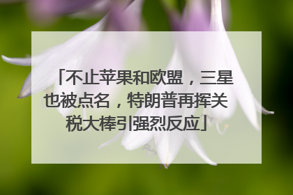 不止苹果和欧盟，三星也被点名，特朗普再挥关税大棒引强烈反应
