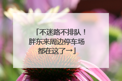 不迷路不排队！胖东来周边停车场都在这了→