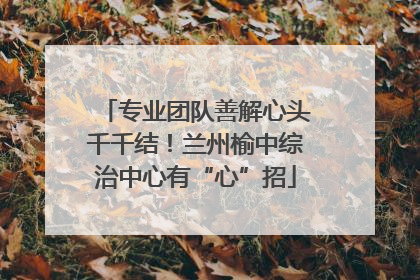 专业团队善解心头千千结！兰州榆中综治中心有“心”招