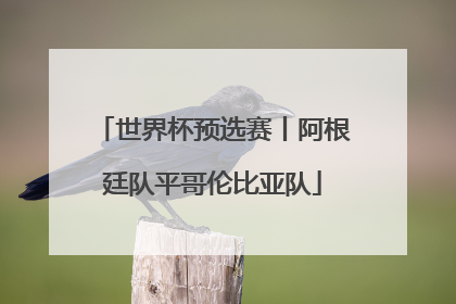 世界杯预选赛丨阿根廷队平哥伦比亚队