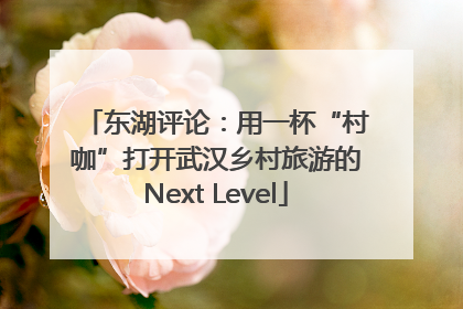 东湖评论：用一杯“村咖”打开武汉乡村旅游的Next Level