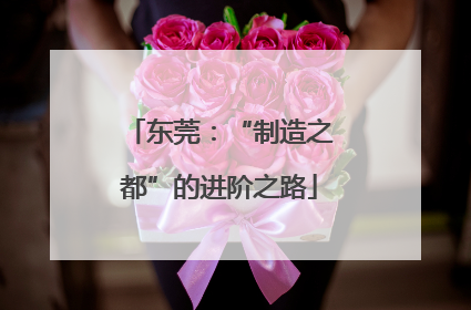 东莞：“制造之都”的进阶之路