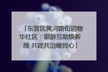 东营区黄河路街道物华社区：银龄互助焕新颜 共建共治暖民心