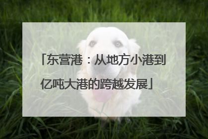 东营港：从地方小港到亿吨大港的跨越发展